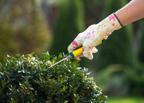 Green residential lawn in Burnt Oak after seasonal maintenance