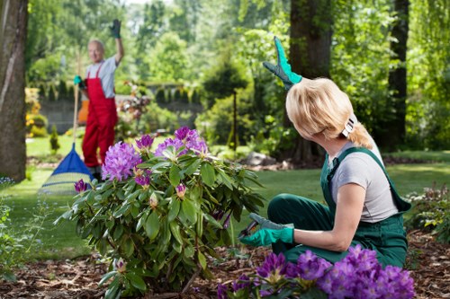Complaint procedure image representing professional gardening service review