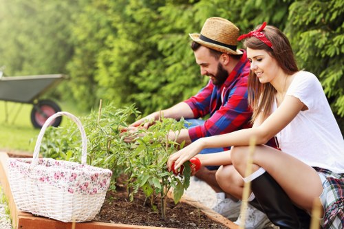 Lawn and planting maintenance in a Burnt Oak garden