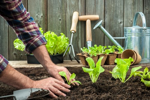 Professional garden clearance improving a Burnt Oak backyard