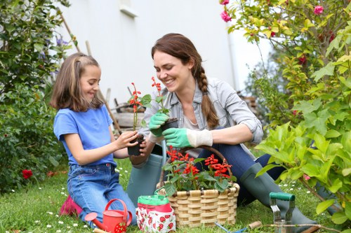 Correct mowing height for healthy Burnt Oak lawns