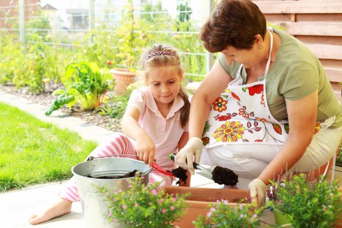 Garden lawn care tasks for a healthy Burnt Oak lawn