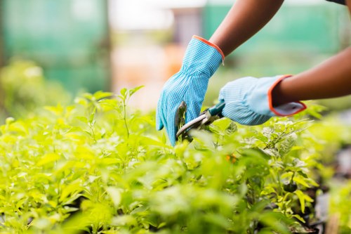 Gardening equipment checked for safe use