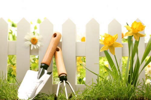 Image symbolizing ongoing improvement in a gardening complaints process