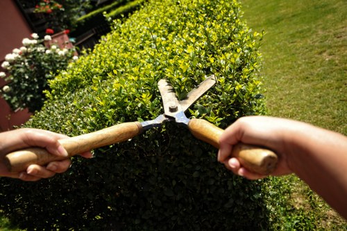 Final reminder of health and safety in garden maintenance