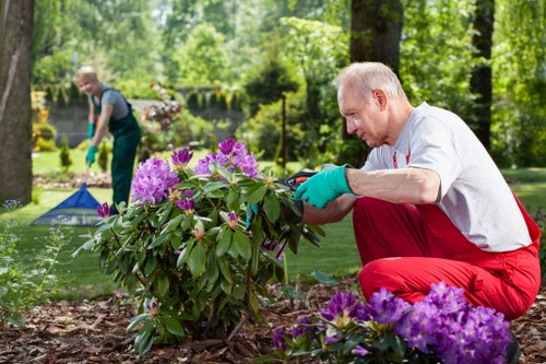 Annual review of modern slavery controls for Gardeners Burnt Oak