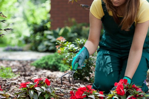 Expert hedge cutting in Burnt Oak improving garden appearance