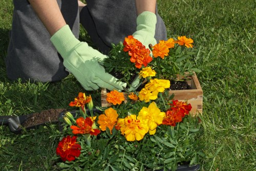Professional Burnt Oak gardeners working with insurance and safety procedures