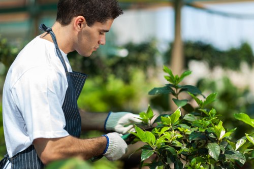 Inclusive local gardening website experience in the Burnt Oak area
