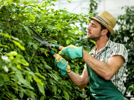 Gardeners Burnt Oak supporting a clean and balanced seasonal landscape