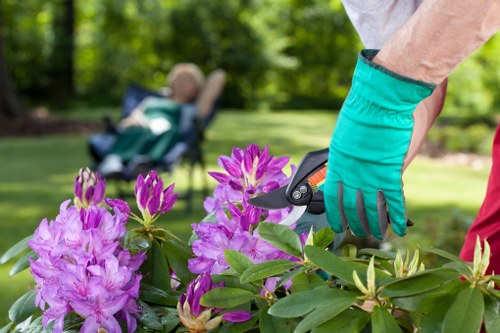 Local gardeners in Burnt Oak improving a residential outdoor space