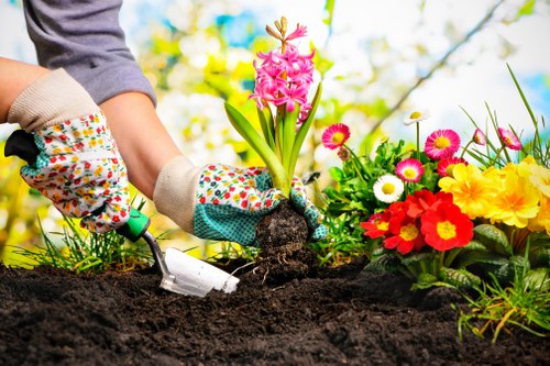Professional gardeners in Burnt Oak shaping hedges and pathways