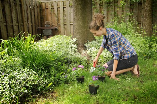 Green waste and bulky items collected during Burnt Oak garden clearance