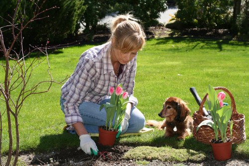 Free quote policy for local gardening services in Burnt Oak