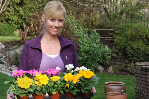 Low-carbon van used for sustainable gardening services