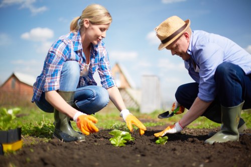 Professional Burnt Oak gardeners maintaining a well-presented garden