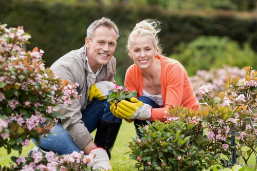 Professional tree reduction and pruning in Burnt Oak